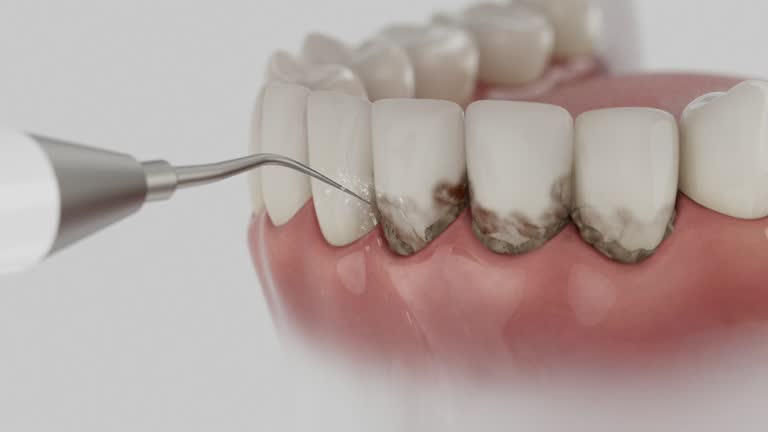 Reliable Dental contractor in Grandwood Park, IL by Dentist Open Now